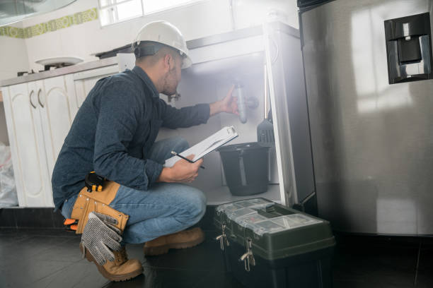 Best Plumbing Services Near Me  in Lake Wazeecha, WI